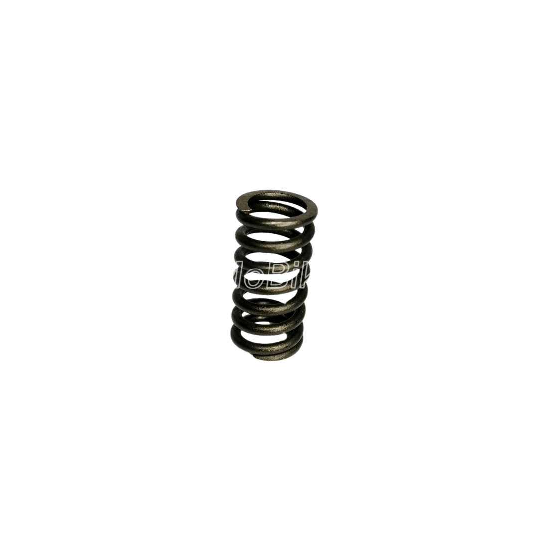 RESORTE DE CLUTCH AKT TT250